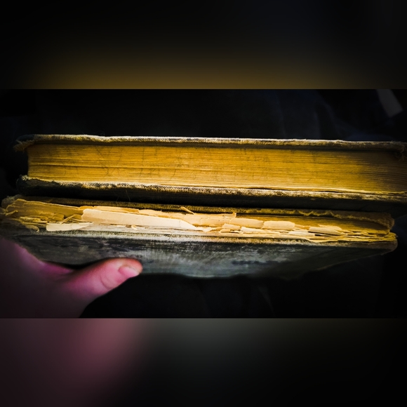 The Alexandra Readers 2 & 4 - Vintage Used Books - Semi-Rare - 1910's Canada - Picture 4 of 5